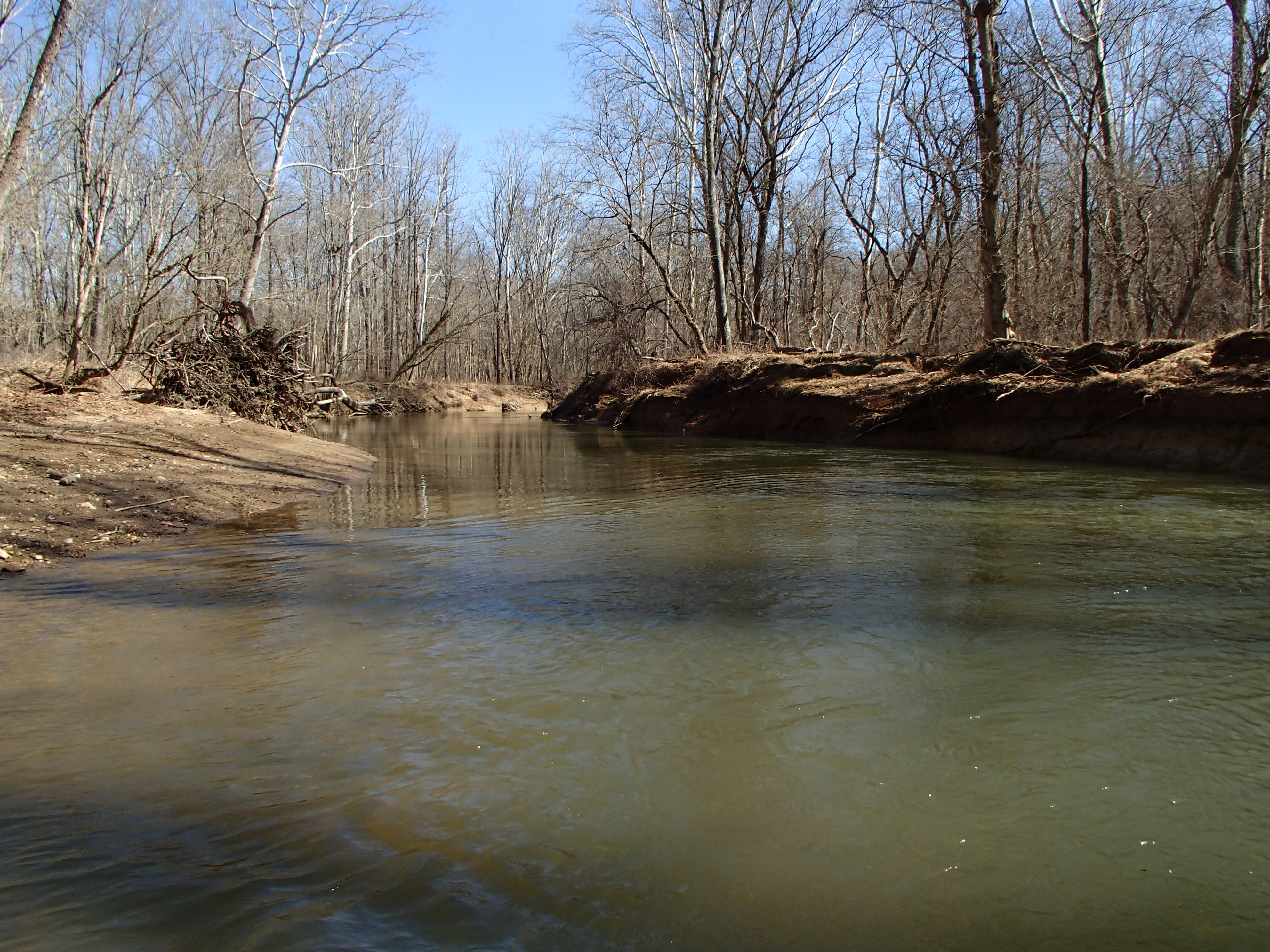Field photo showing stream conditions at site RKGR-405-R-2016_midpoint looking downstream